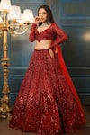 Buy_Isa By Dolly Wahal_Maroon Net Embellished Bead Sweetheart Rida Sequin Chevron Lehenga Set _at_Aza_Fashions