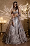 Isa By Dolly Wahal_Beige Net Embellished Crystal Scoop Mirrorwork Geometric Lehenga Set _Online_at_Aza_Fashions