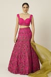 Peeli Dori_Pink Net Hand Embroidered Beads Sweetheart Ishani Bridal Lehenga Set _at_Aza_Fashions