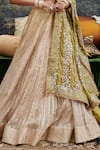 Buy_Itrh_Gold Chanderi Embellished Jaal High Sheesh Saanjh Mirror Blouse Lehenga Set _Online_at_Aza_Fashions