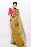 Buy_Bihart_Green Saree Kota Doria Silk Tie Dye Closed Round Raangsaaz With Crop Top _at_Aza_Fashions