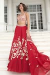 Label Sanya Gulati_Red Pure Silk Organza Embroidery Resham Square Neck Floral Jaal Lehenga Set _Online_at_Aza_Fashions