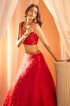 Shop_Alaya Advani_Red Blouse Net Embellished Sequins Cutwork Scoop Neck Feather Lehenga And Set 