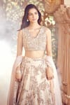 Alaya Advani_Gold Blouse And Dupatta Net Embroidered Sequins V Neck Tropical Lehenga Set _Online