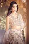 Buy_Alaya Advani_Gold Blouse And Dupatta Net Embroidered Sequins V Neck Tropical Lehenga Set _Online