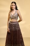 Shop_Alaya Advani_Brown Blouse Raw Silk Printed Floral Work V Neck Pleated And Jaal Lehenga Set _Online_at_Aza_Fashions