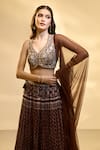 Shop_Alaya Advani_Brown Blouse Raw Silk Printed Floral Work V Neck Pleated And Jaal Lehenga Set 