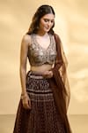 Alaya Advani_Brown Blouse Raw Silk Printed Floral Work V Neck Pleated And Jaal Lehenga Set _Online