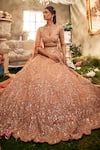 Buy_Sunita Bhandari_Peach Upada And Tulle Embroidered Sequin V Neck Aranya Lehenga Set _at_Aza_Fashions