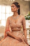 Sunita Bhandari_Peach Upada And Tulle Embroidered Sequin V Neck Aranya Lehenga Set _Online_at_Aza_Fashions