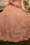 Buy_Sunita Bhandari_Peach Upada And Tulle Embroidered Sequin V Neck Aranya Lehenga Set _Online_at_Aza_Fashions