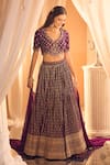 Shop_Alaya Advani_Purple Lehenga And Blouse Silk Hand Work Sequins V Neck Set 