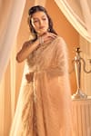 Alaya Advani_Peach Blouse Net Embellished Sequins Pre-draped Feather Saree With Embroidered _Online