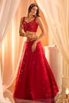 Shop_Alaya Advani_Red Blouse Net Embellished Sequins Cutwork Scoop Neck Feather Lehenga And Set _at_Aza_Fashions