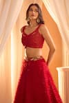 Shop_Alaya Advani_Red Blouse Net Embellished Sequins Cutwork Scoop Neck Feather Lehenga And Set _Online_at_Aza_Fashions