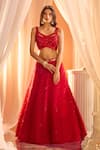 Buy_Alaya Advani_Red Blouse Net Embellished Sequins Cutwork Scoop Neck Feather Lehenga And Set _Online