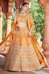 Buy_Azeera_Orange Silk Blend Embroidered Floral Broad Leaf Zardozi Bridal Lehenga Set 