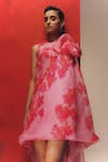 Buy_Richa Khemka_Pink Scuba Print Anthurium Round Neck Dress _Online_at_Aza_Fashions