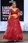 Buy_Awigna_Red Net Embroidery Cutdana V Neck Albania 3d Rafflesia Lehenga Set _at_Aza_Fashions