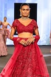 Buy_Awigna_Red Net Embroidery Cutdana V Neck Albania 3d Rafflesia Lehenga Set 