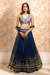 Buy_Alaya Advani_Blue Blouse Raw Silk Printed Floral Work V Neck Pleated And Pattern Lehenga Set _at_Aza_Fashions