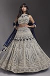 Buy_MAISOLOS_Blue Net Hand Embroidered Bead High Neck Floral Veil Lehenga Set _at_Aza_Fashions