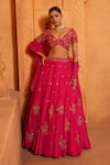 Buy_Enamour By Radha_Pink Organza Embroidery Zari V-neck Paisley Jaal Lehenga Set _at_Aza_Fashions