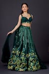 Archana Kochhar_Green Raw Silk Lehenga And Blouse Embellished Forest Sweetheart Neck The With _Online_at_Aza_Fashions