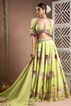 Buy_Ahi Clothing_Green Heavy Crepe Embroidered Zari Sweetheart Elephant Digital Print Lehenga Set _Online_at_Aza_Fashions