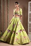 Shop_Ahi Clothing_Green Heavy Crepe Embroidered Zari Sweetheart Elephant Digital Print Lehenga Set _Online_at_Aza_Fashions