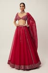 Shop_Vvani by Vani Vats_Red Lehenga And Dupatta Net Embroidery Sequin Scallop V Neck Panelled Set _Online_at_Aza_Fashions