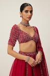 Buy_Vvani by Vani Vats_Red Lehenga And Dupatta Net Embroidery Sequin Scallop V Neck Panelled Set 