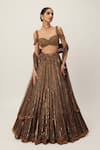 Buy_Vvani by Vani Vats_Brown Lehenga Organza Embroidery Sequin Sweetheart Neck Linear Blouse Set _at_Aza_Fashions