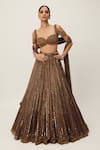 Vvani by Vani Vats_Brown Lehenga Organza Embroidery Sequin Sweetheart Neck Linear Blouse Set _Online_at_Aza_Fashions