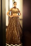 Vvani by Vani Vats_Brown Lehenga Organza Embroidery Sequin Sweetheart Neck Linear Blouse Set _at_Aza_Fashions