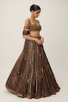 Buy_Vvani by Vani Vats_Brown Lehenga Organza Embroidery Sequin Sweetheart Neck Linear Blouse Set 