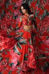 Shop_Payal & Zinal_Red Net, Georgette Metallic Thread, Buckles Blossom Print Lehenga With Blouse _at_Aza_Fashions