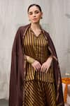 RAAS LIFE_Brown Handwoven Chanderi Striped Amala Bar Flared Pant _at_Aza_Fashions