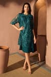 Buy_Tasuvure_Green Cotton Lace Embroidery Chantilly Round Neck Myra Mesh Dress _at_Aza_Fashions