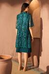 Shop_Tasuvure_Green Cotton Lace Embroidery Chantilly Round Neck Myra Mesh Dress _at_Aza_Fashions