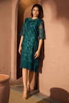 Shop_Tasuvure_Green Cotton Lace Embroidery Chantilly Round Neck Myra Mesh Dress _Online_at_Aza_Fashions