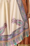 Buy_Dusala_White Auklet Handwoven Kalamkari Border Shawl _Online_at_Aza_Fashions
