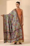 Buy_DUSALA_Multi Color Kalamkari Aastha Pashmina Handwoven Shawl _at_Aza_Fashions