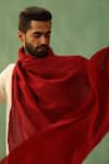 Buy_DUSALA_Red Woven Cohen Pashmina Solid Shawl _Online_at_Aza_Fashions