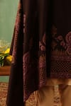 DUSALA_Brown Sozni Maisie Embroidered Pashmina Shawl _Online_at_Aza_Fashions