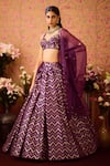 Shop_Shyam Narayan Prasad_Purple Brocade Embroidery Zardozi Chevron Phool Vine Woven Lehenga Set _Online_at_Aza_Fashions