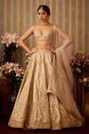 Buy_Shyam Narayan Prasad_Grey Raw Silk Embroidery Zardozi Sweetheart Ornate Bloom Applique Lehenga Set 