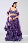 Buy_Rabani & Rakha_Purple Georgette Embroidered Sequin Sweetheart Naida Floral Jaal Lehenga Set _at_Aza_Fashions