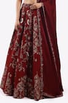 Onaya_Maroon Crepe Embroidered Cheed Plunge V-neck Metallic Zari Lehenga Set _Online_at_Aza_Fashions