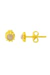 Shop_Arvino_Gold Plated Labradorite Mystical Studs _at_Aza_Fashions